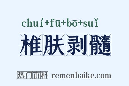 椎肤剥髓是什么意思的图片